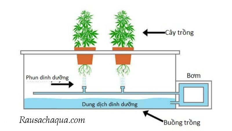Cấu tạo mô hình khí canh