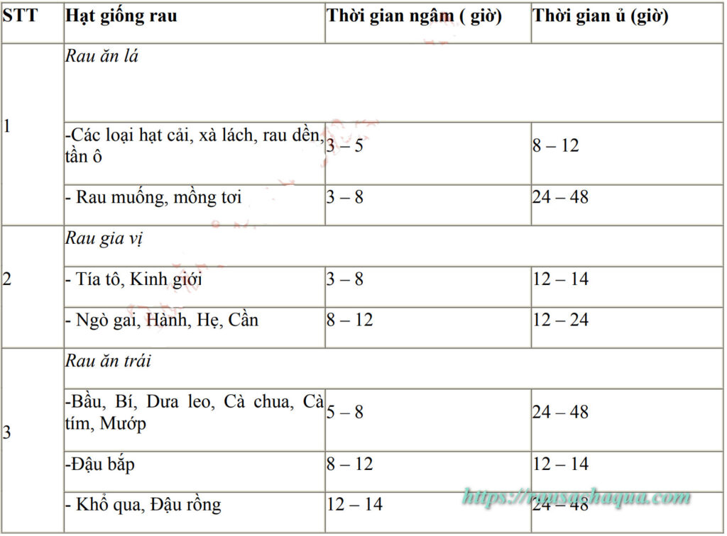 Thời gian ngâm ủ hạt giống rau