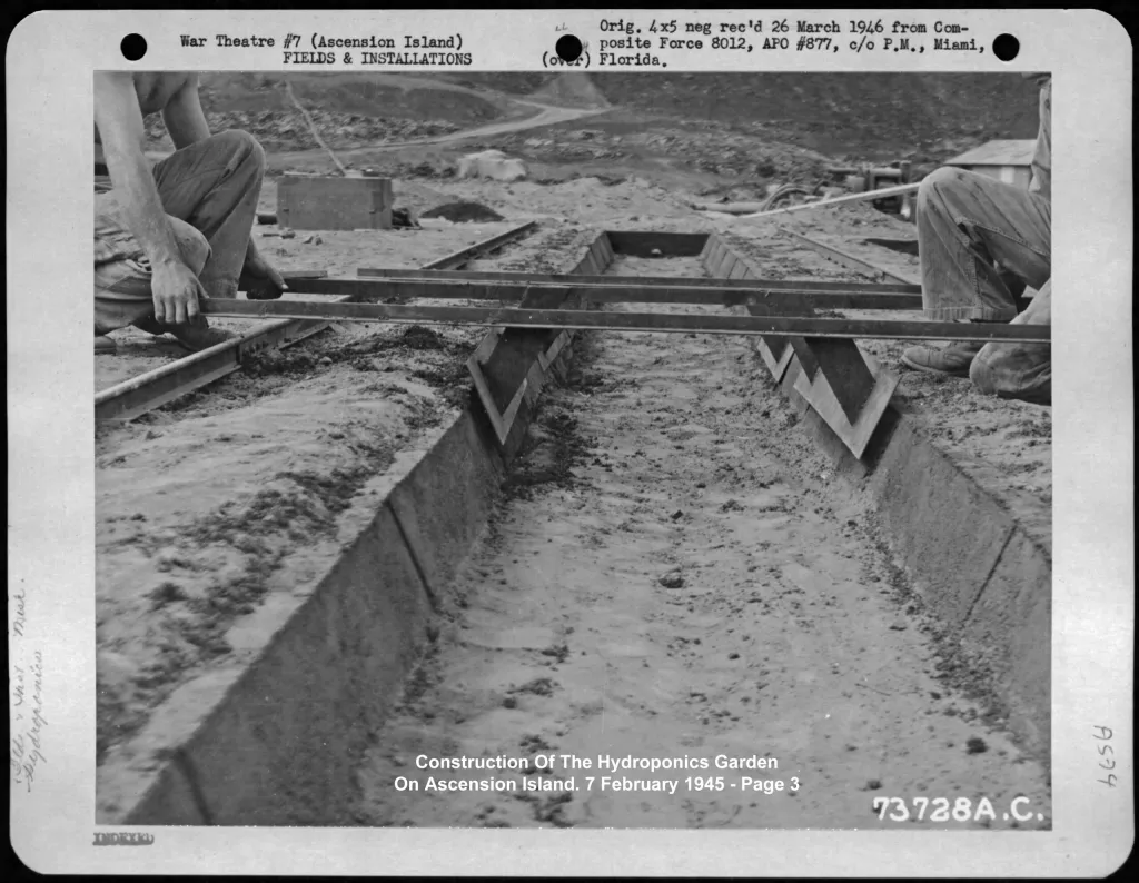 Nguồn gốc của thuỷ canh