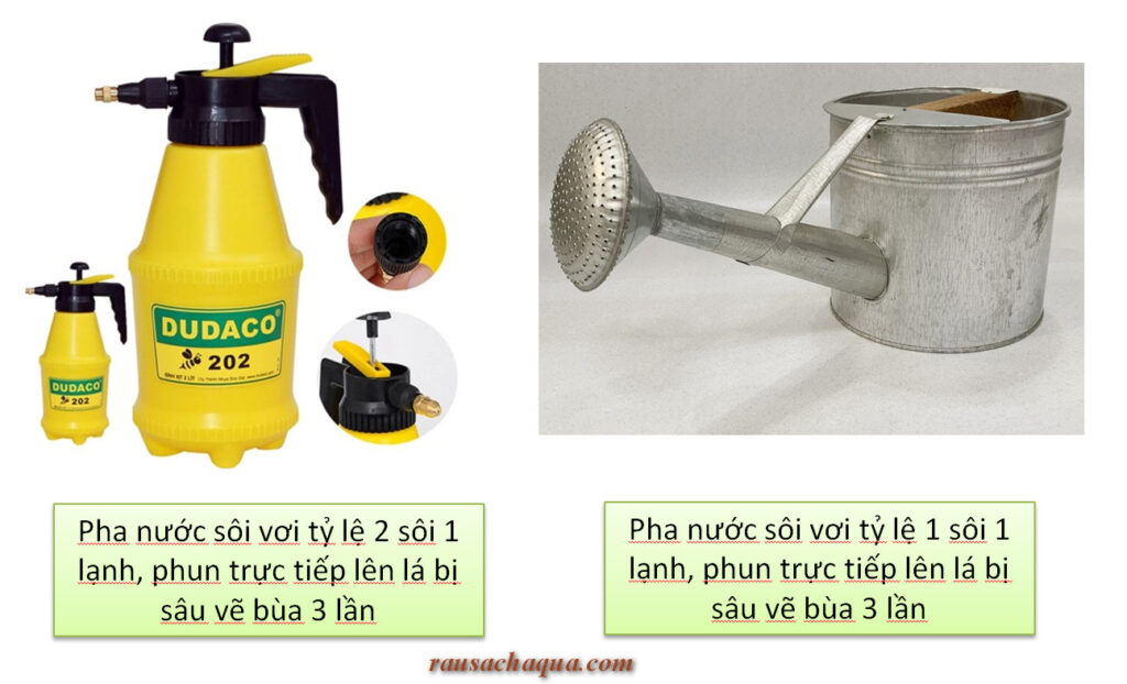 Diệt sâu vẽ bùa bằng nước ấm