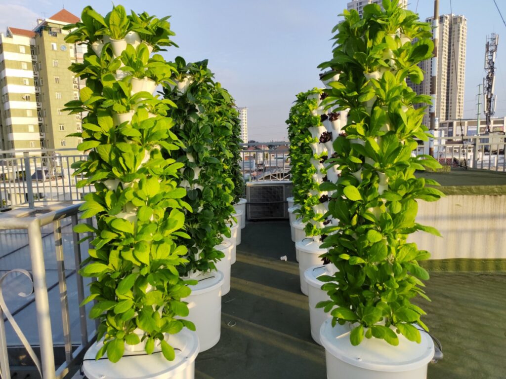 Thuỷ canh trụ đứng
