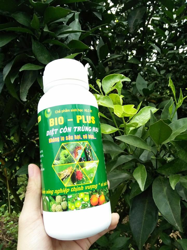 Thuốc trị nhện đỏ thảo mộc