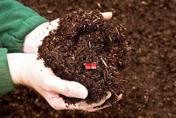 Kỹ thuật xử lý đất trồng rau