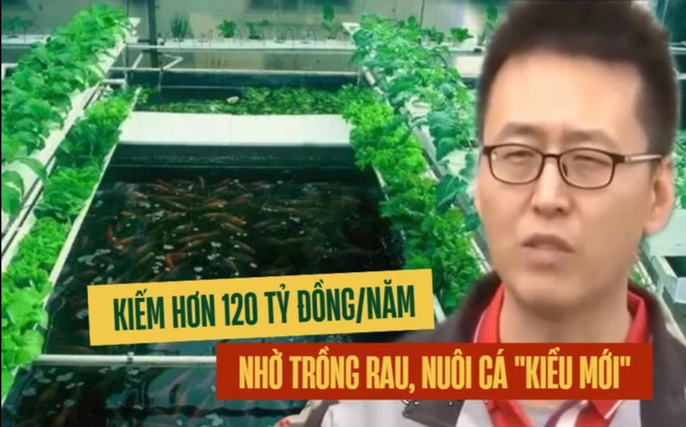 Mô hình aquaponics công nghiệp